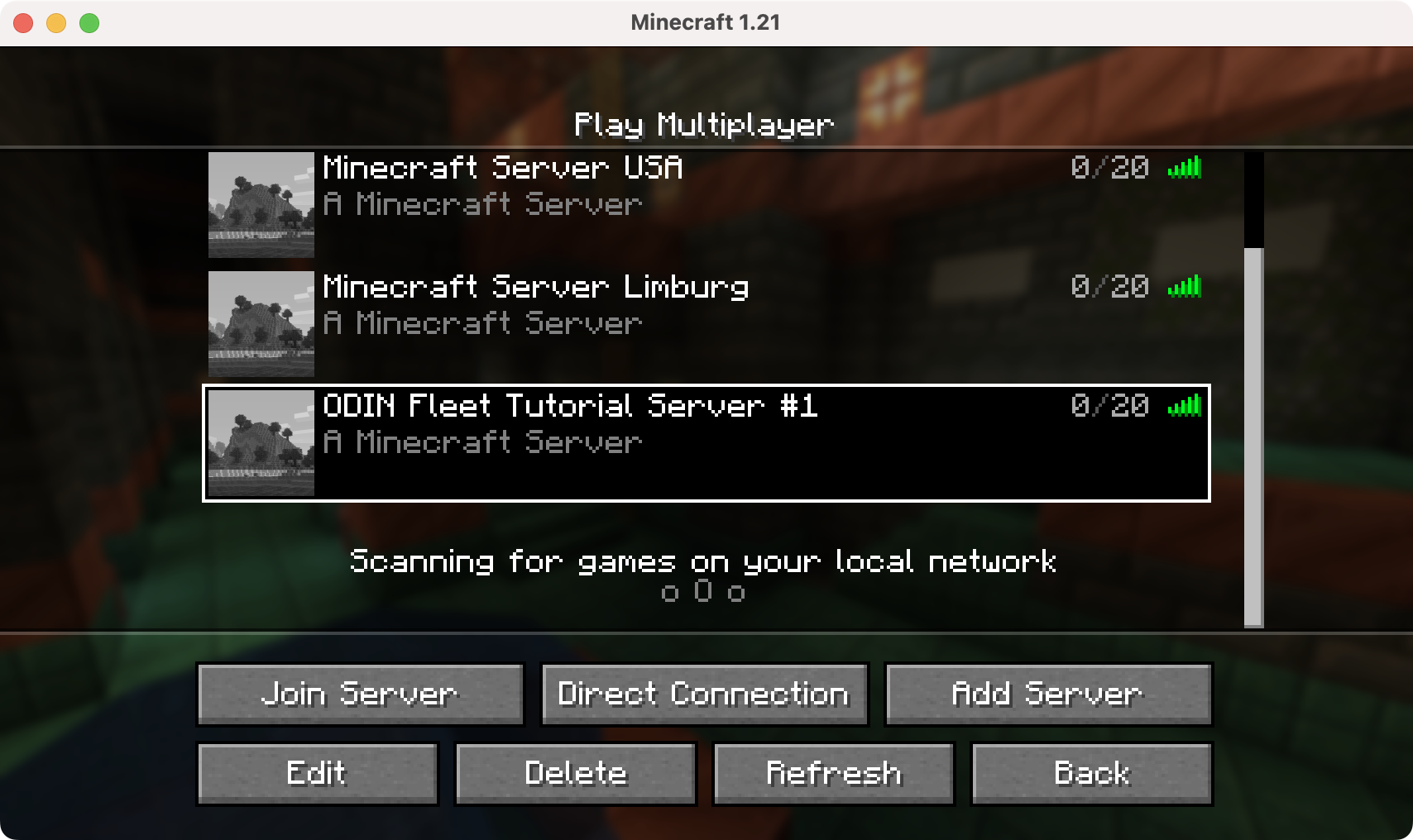 Server in Minecraft