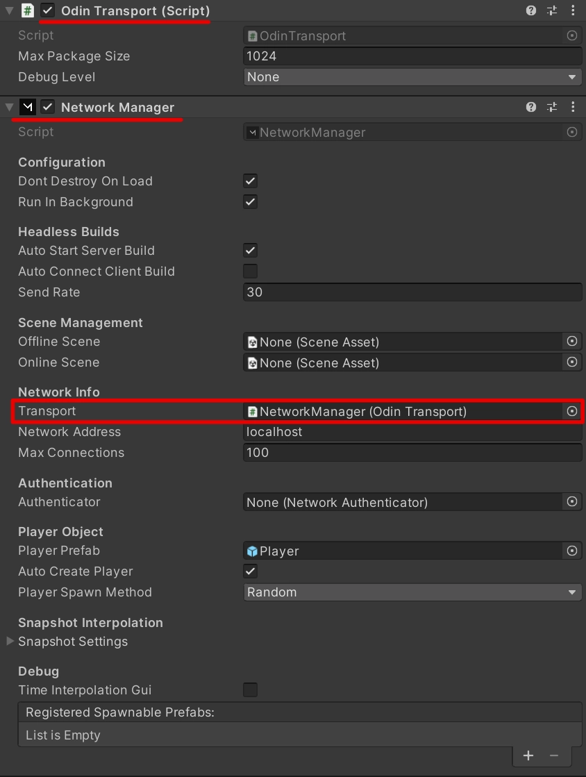 The Mirror Network Manager setup with Odin Transport.